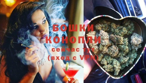 дживик Нефтекумск