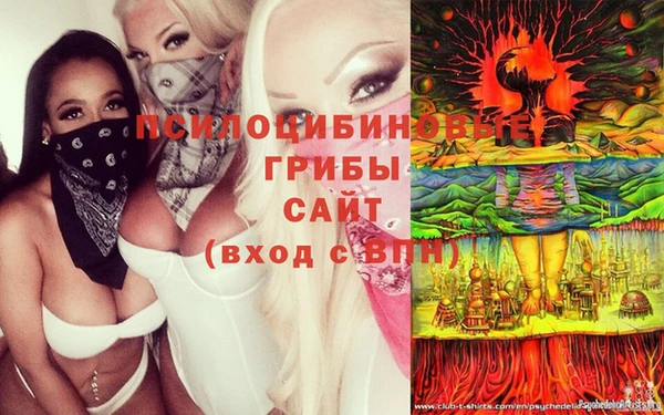 Альфа ПВП Нея