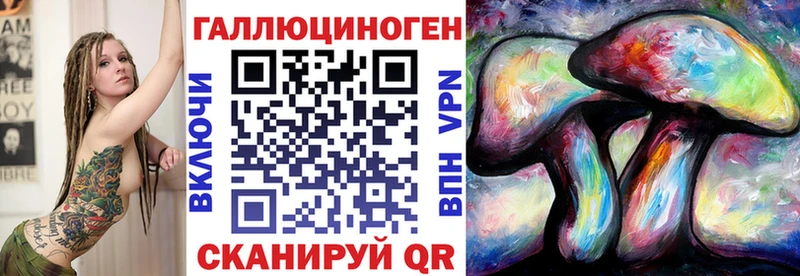 Галлюциногенные грибы Psilocybine cubensis  Юрьев-Польский 